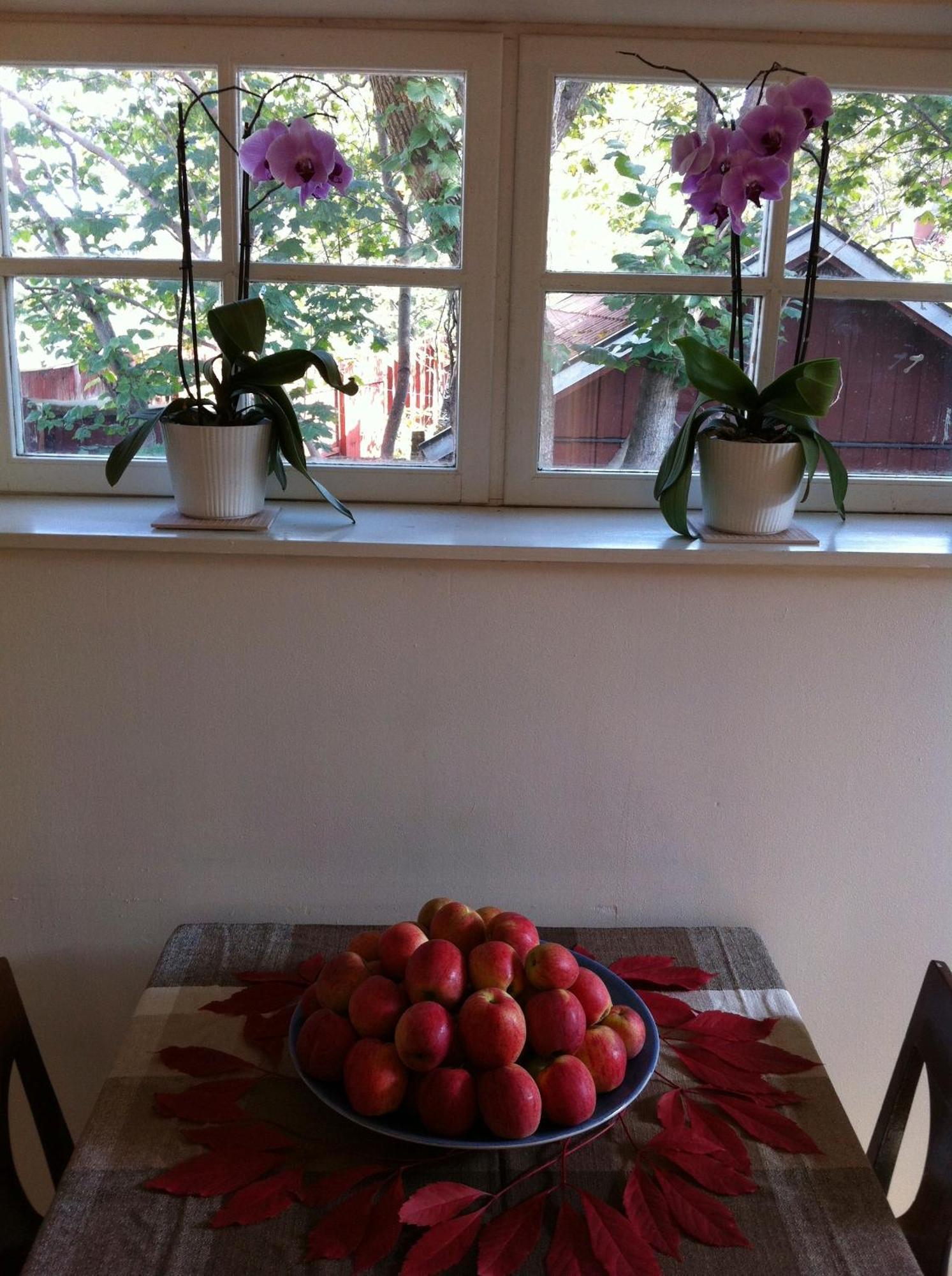 Stockholm B&B Cottage Nacka Chambre photo