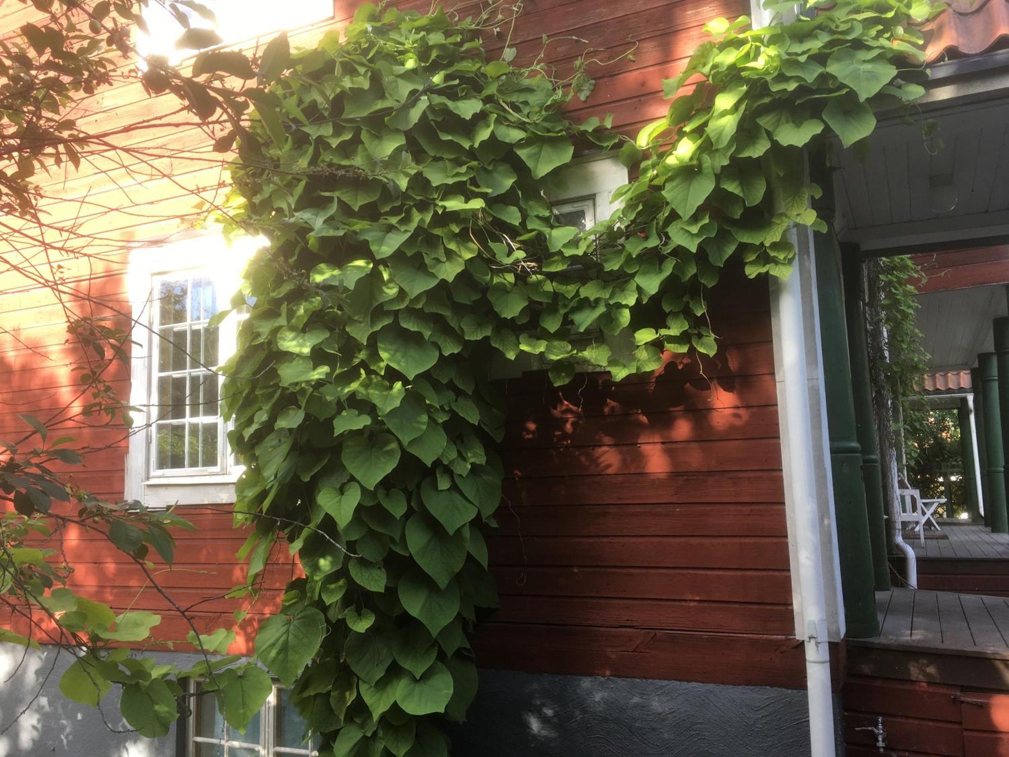 Stockholm B&B Cottage Nacka Chambre photo