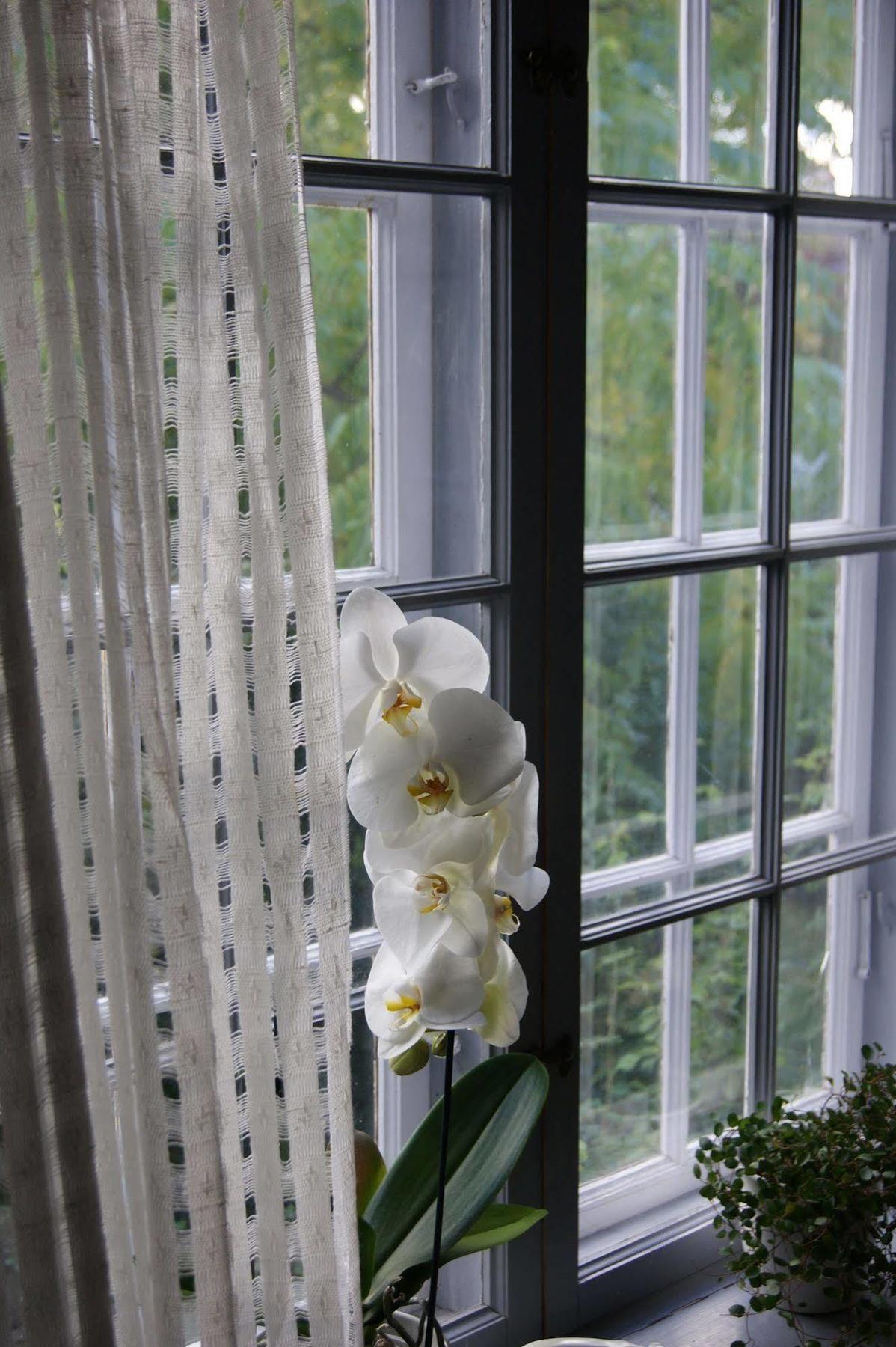 Stockholm B&B Cottage Nacka Extérieur photo